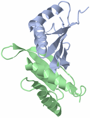 Image NMR Structure - model 1