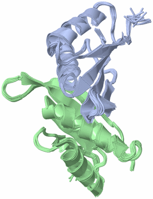 Image NMR Structure - all models