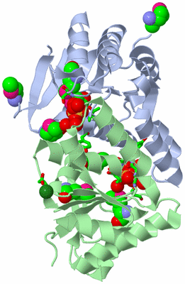 Image Asym./Biol. Unit - sites