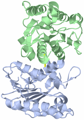 Image Asym./Biol. Unit