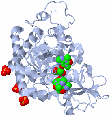 Image Biological Unit 1