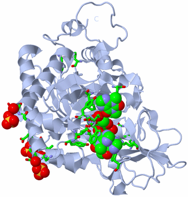 Image Biol. Unit 1 - sites