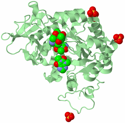 Image Biological Unit 2