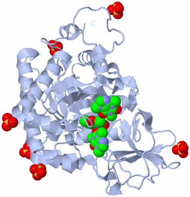 Image Biological Unit 1