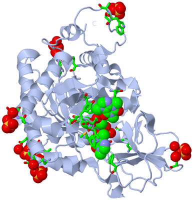 Image Biol. Unit 1 - sites