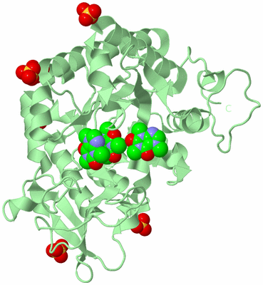 Image Biological Unit 2