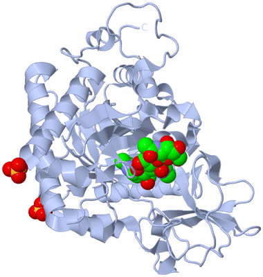 Image Biological Unit 1