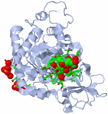 Image Biol. Unit 1 - sites