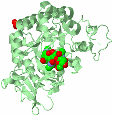 Image Biological Unit 2