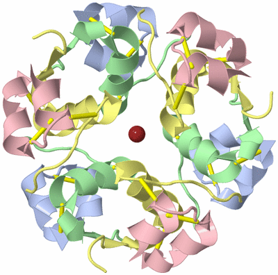 Image Biological Unit 1