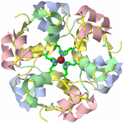 Image Biol. Unit 1 - sites