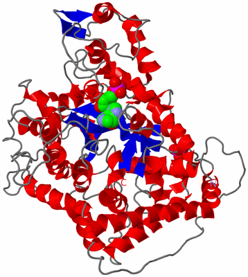 Image Asymmetric Unit