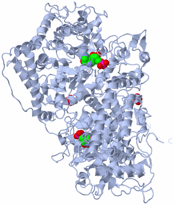 Image Biological Unit 1