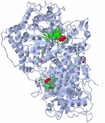 Image Biol. Unit 1 - sites