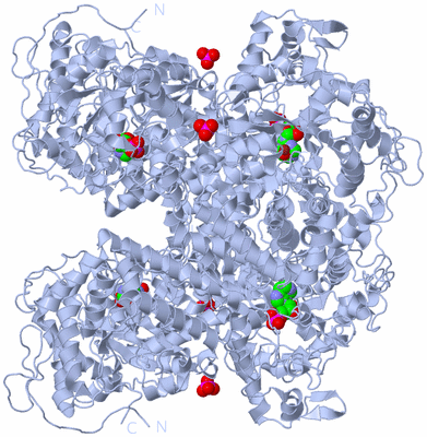 Image Biological Unit 2