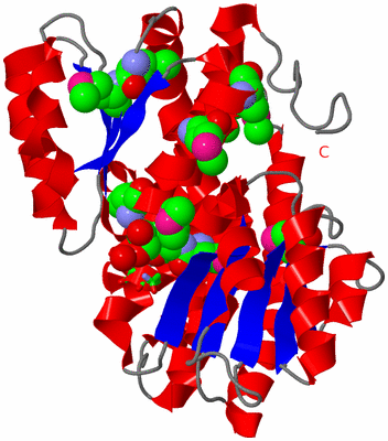 Image Asym. Unit - sites
