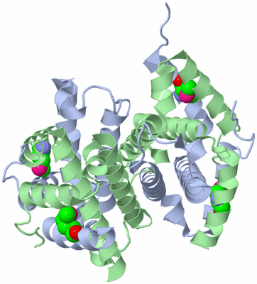 Image Biological Unit 2