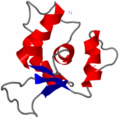 Image NMR Structure - model 1