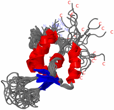 Image NMR Structure - all models