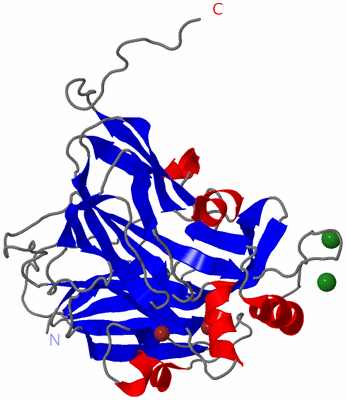 Image Asymmetric Unit