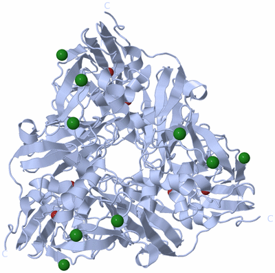 Image Biological Unit 1