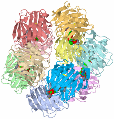 Image Biological Unit 1