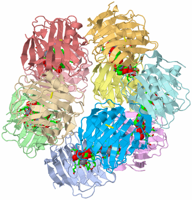 Image Biol. Unit 1 - sites