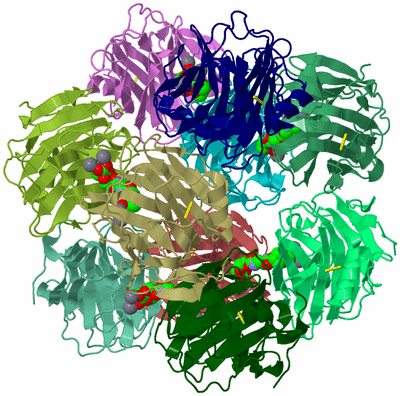 Image Biological Unit 2