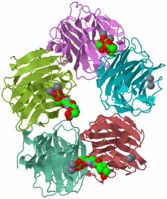 Image Biological Unit 3