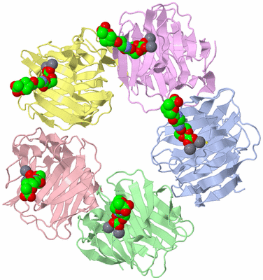 Image Biological Unit 4