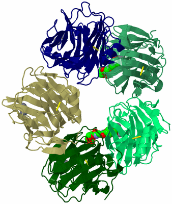 Image Biological Unit 6