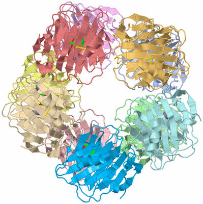 Image Asym./Biol. Unit