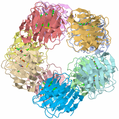 Image Asym./Biol. Unit - sites