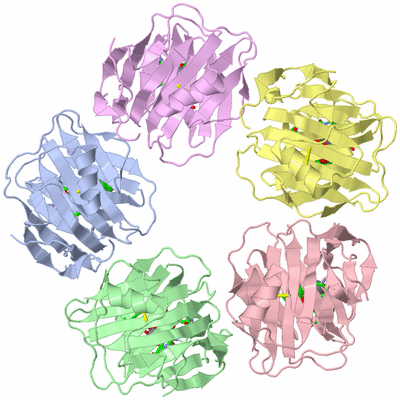 Image Asym./Biol. Unit - sites