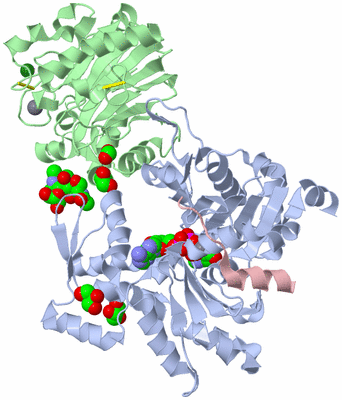 Image Asym./Biol. Unit