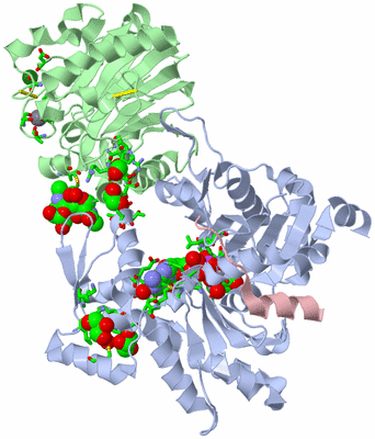 Image Asym./Biol. Unit - sites