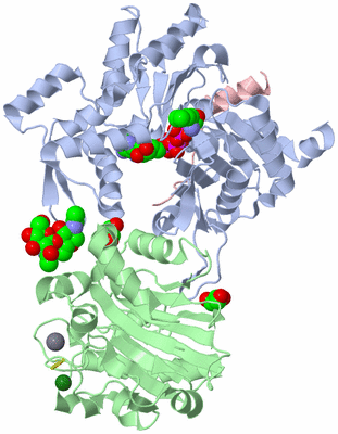 Image Biological Unit 1