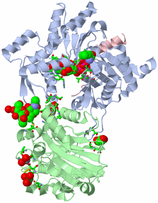 Image Biol. Unit 1 - sites