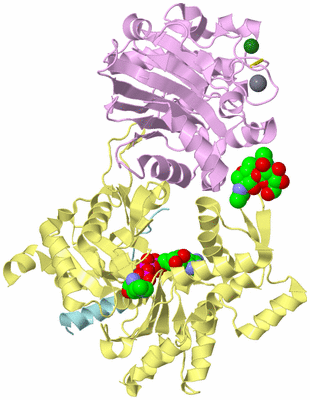 Image Biological Unit 2