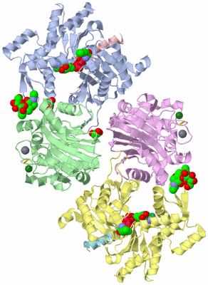 Image Biological Unit 3