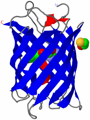 Image Asymmetric Unit