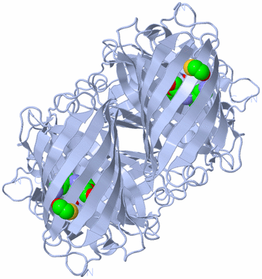 Image Biological Unit 1