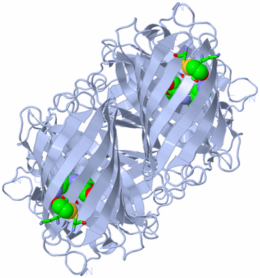 Image Biol. Unit 1 - sites