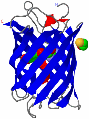 Image Asymmetric Unit