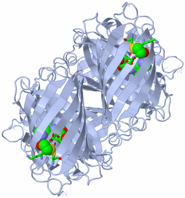 Image Biol. Unit 1 - sites