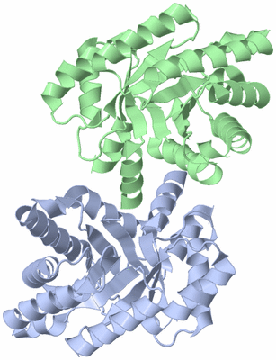 Image Biological Unit 3