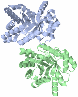 Image Biological Unit 4