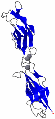 Image Asymmetric Unit