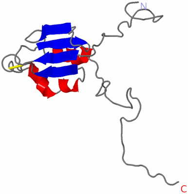 Image NMR Structure - model 1