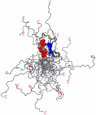 Image NMR Structure - all models